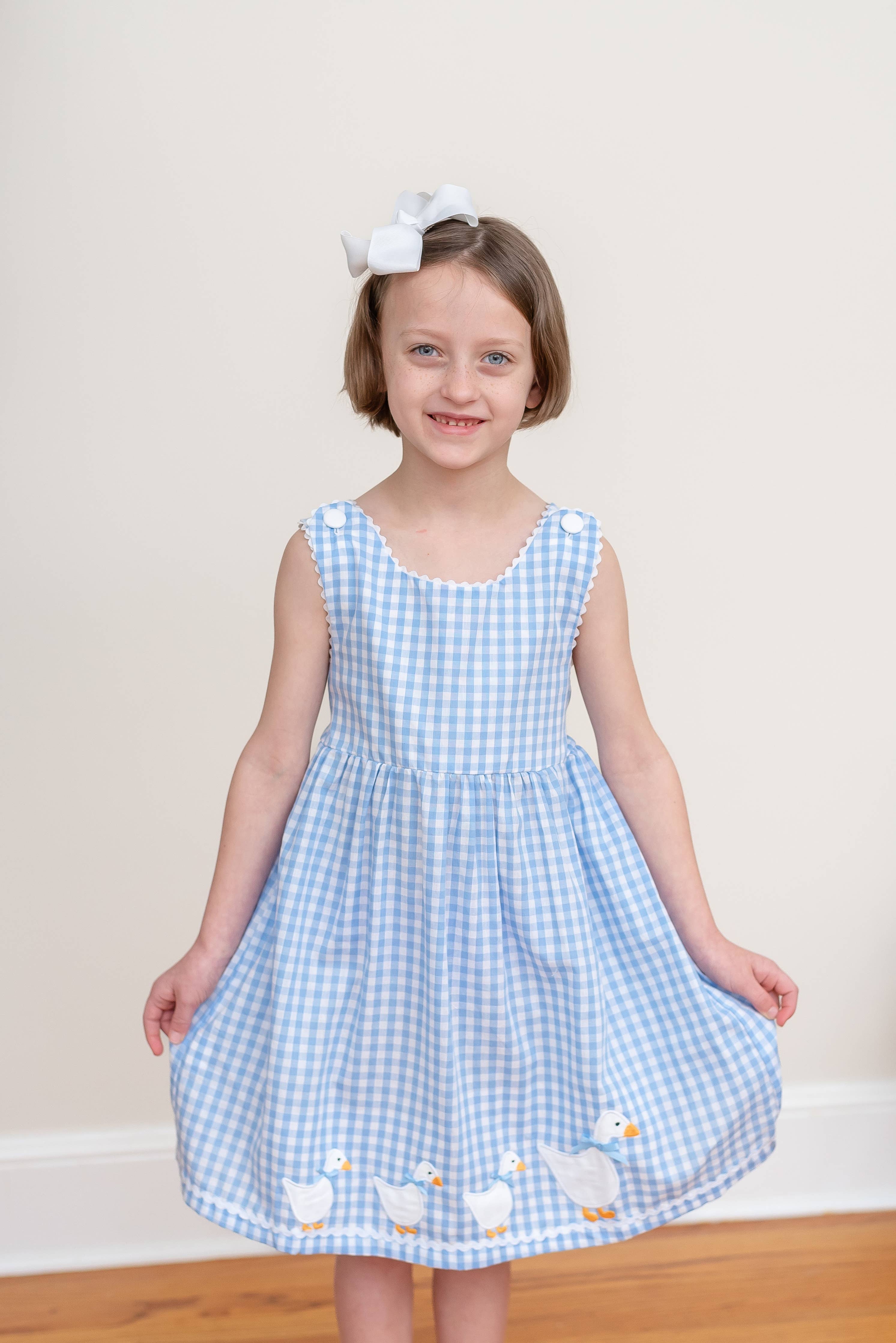 Blue Gingham Goose A Line Dress