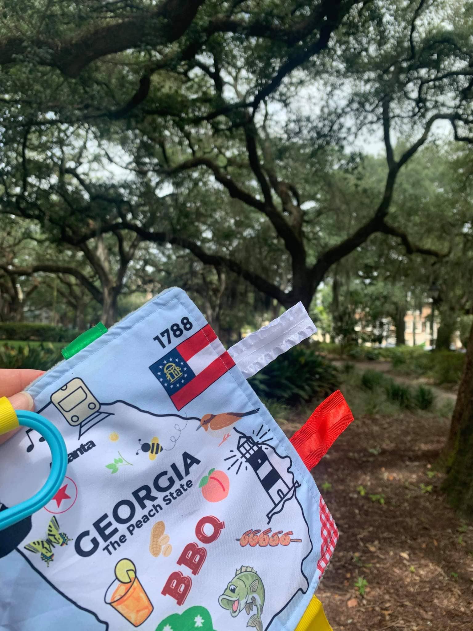 Georgia State Baby Learning Crinkle Tag Square 8"x 8" Toy