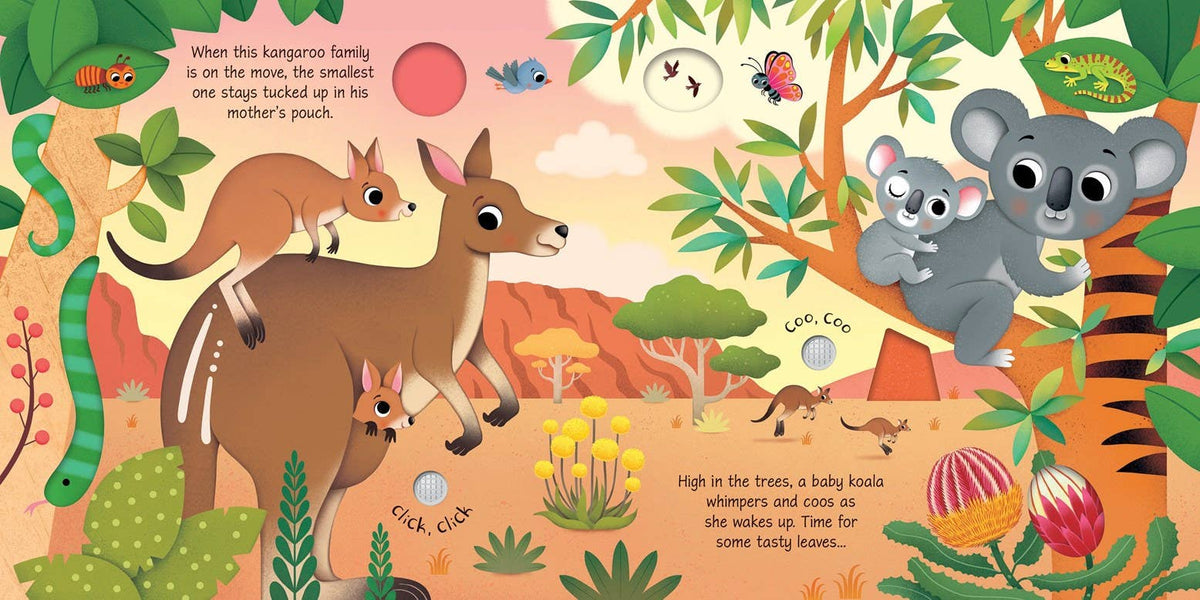 Baby Animal Sounds board book