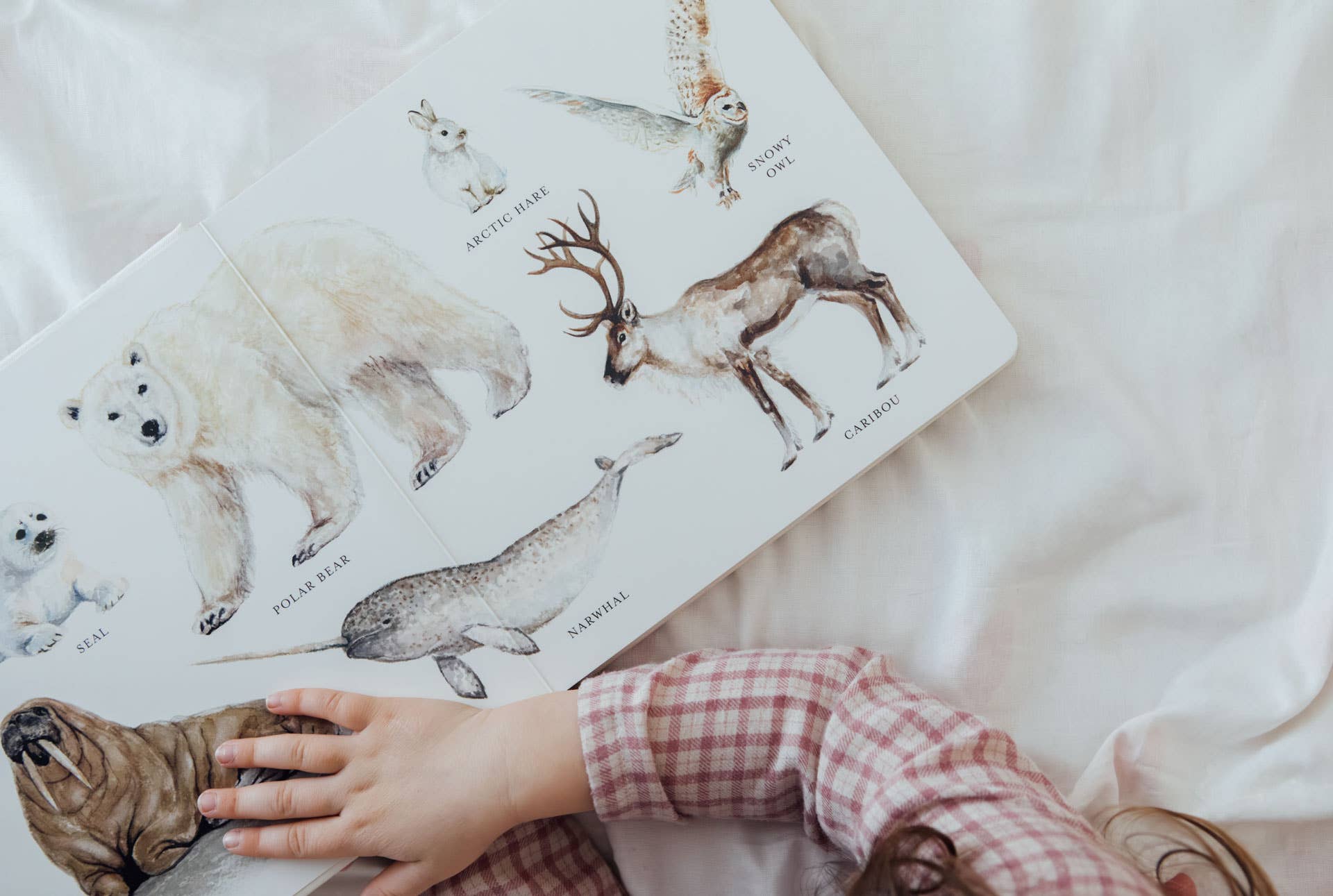 Our Big Book of Animals