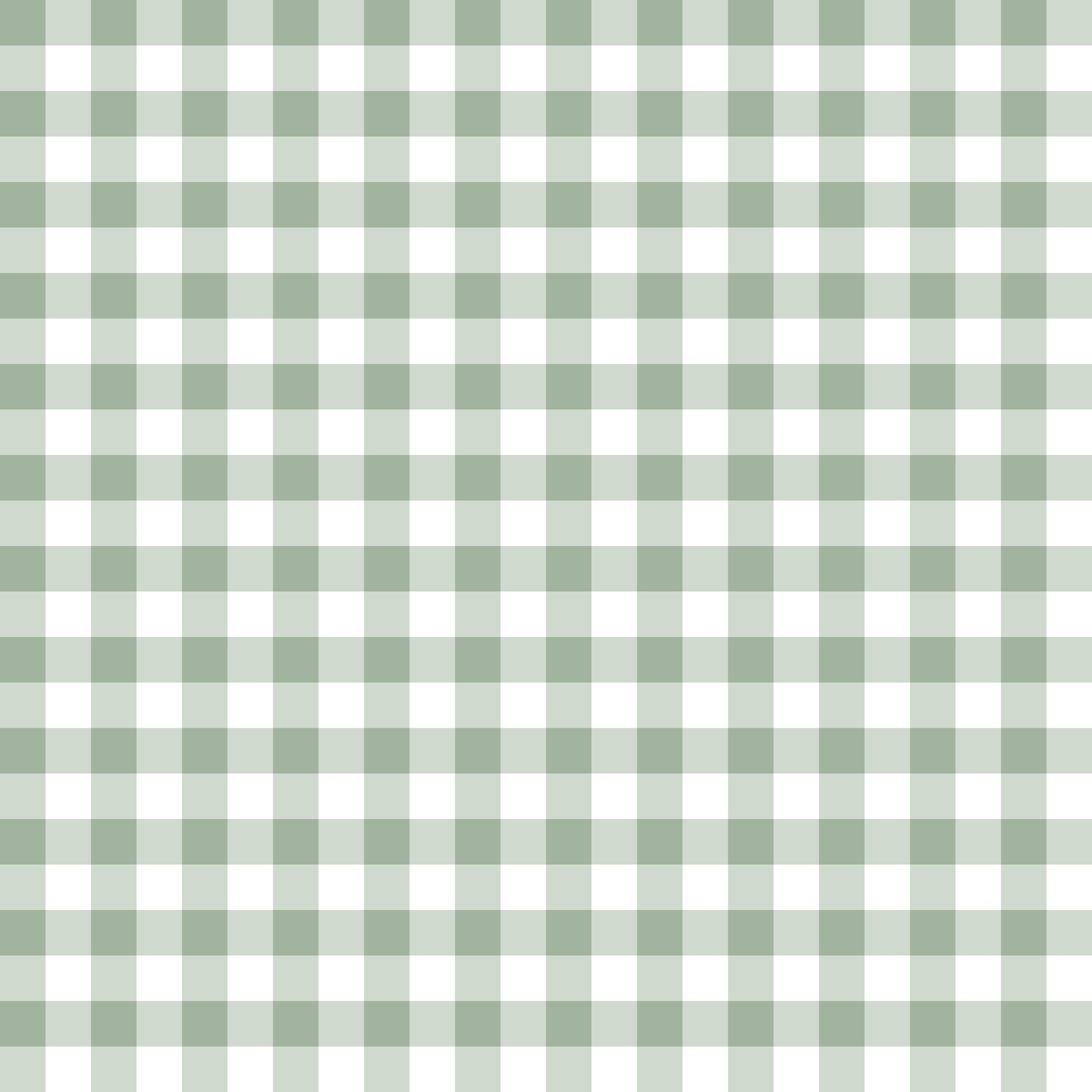 Sage Gingham Zip Jam