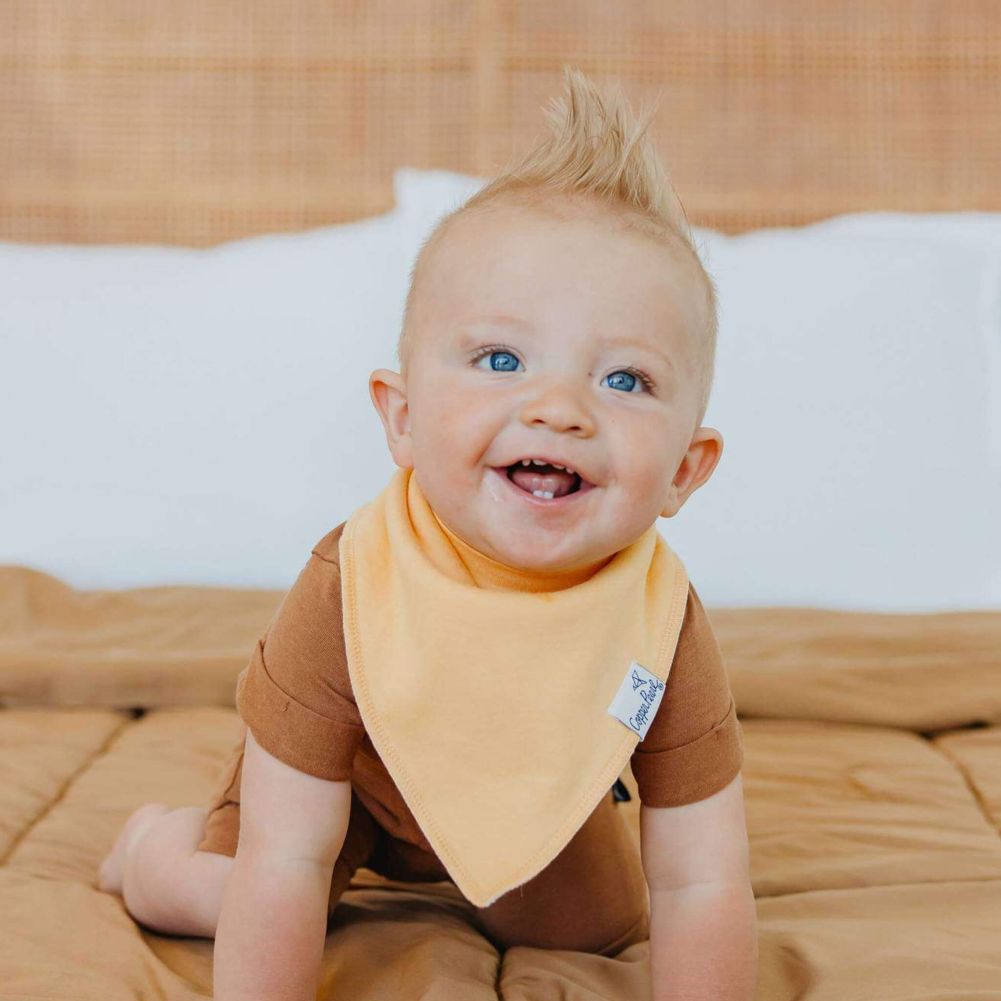 4 Pack Baby Bandana Bibs - Bennie