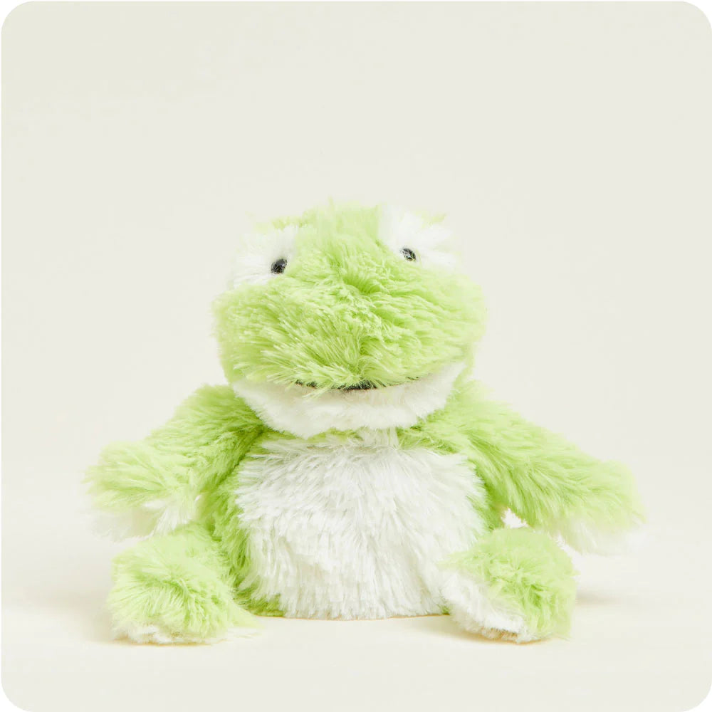 Frog Junior