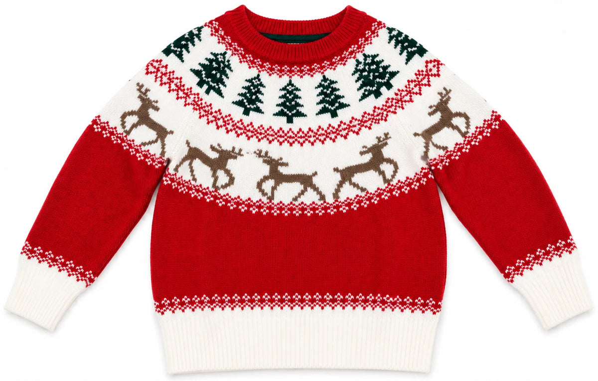 Ryan Red Reindeer Sweater