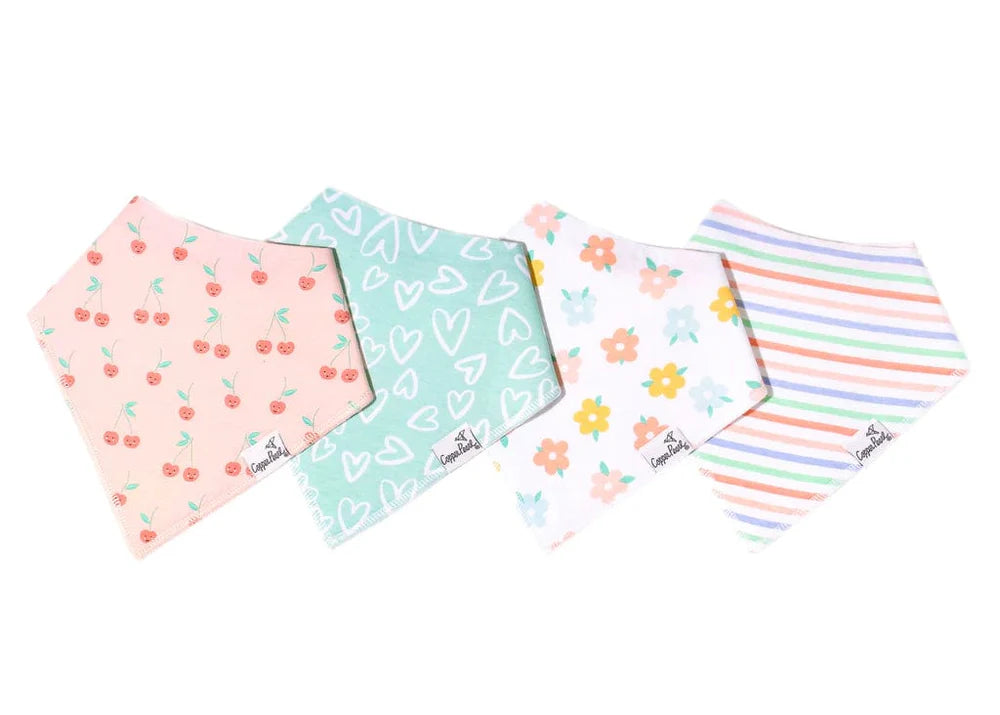 4 Pack Baby Bandana Bibs - Cheery